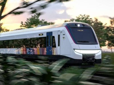 Conceden suspensión definitiva que obliga al gobierno detener el desmonte del Tren Maya tramo 5