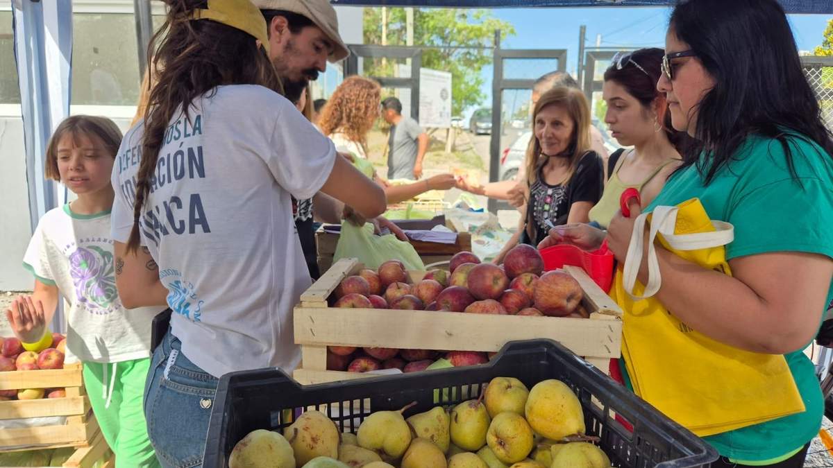 Frutazo: producción agroecológica del productor al consumidor.
Fuente: (AA)