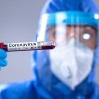 Zapala superó los 50 casos positivos de coronavirus