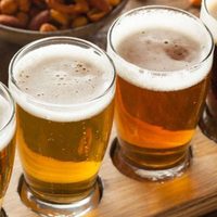 En formato virtual, se dará un congreso internacional para amantes de la cerveza