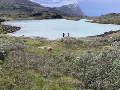 Se terminó el misterio: un estudio reveló por qué los vikingos abandonaron Groenlandia