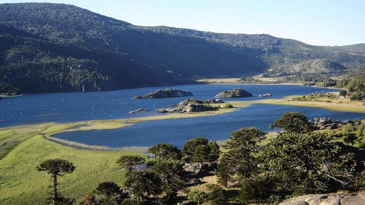 Magnífica postal de Villa  Pehuenia en temporada verano. Fuente: (Twitter).