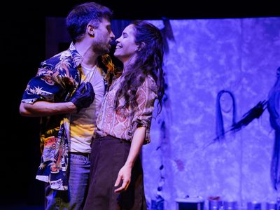 Teatro: “La aguja del iceberg”, una familia trastocada