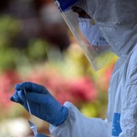 Coronavirus: 532 muertes en las últimas 24 horas