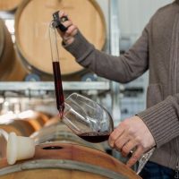 Día del enólogo: homenaje a los hacedores del vino