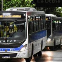 Extienden la conciliación obligatoria y no habrá paro de colectivos en Neuquén y Río Negro