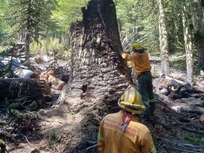 Brigadistas extinguieron un foco de incendio detectado sobre el sendero de Ruca Choroy y Ñorquinco