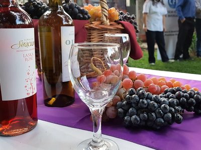 El vino rionegrino, la estrella de la Vendimia