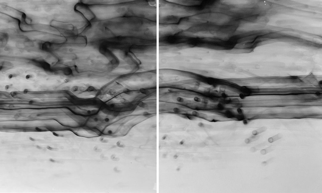 Margot Kalach  Nubes I dibujo de luz sobre plata gelatina (1)