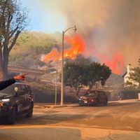 California declara el estado de emergencia por incendios forestales que afectan a Los Ángeles