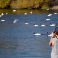 “Mirador de los Cisnes”: el nuevo espacio que tendrá el Paseo Costero sobre el río Neuquén
