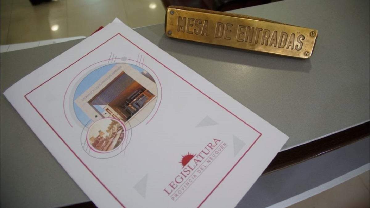 El proyecto de la diputada Suppicich ingresó a la legislatura este jueves 8 de marzo. Fuente: (Legislatura de Neuquén)