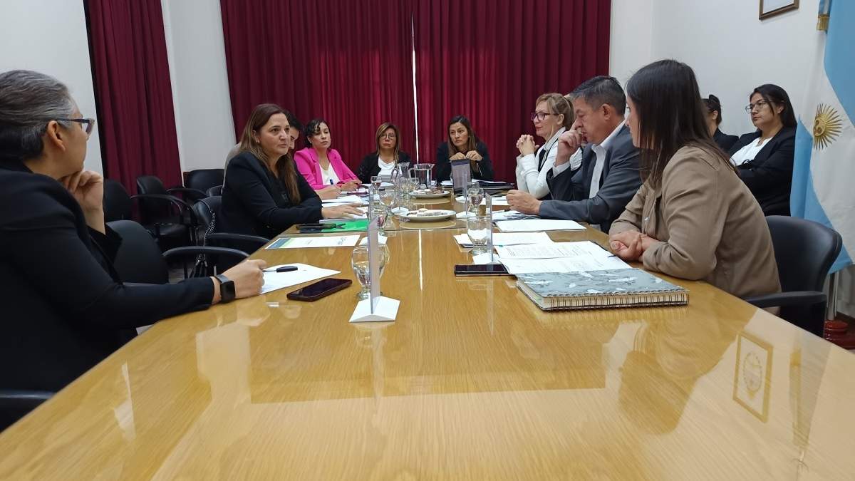 Primera reunión del año del Consejo Provincial de Niñez, Adolescencia y Familia. Fuente (MPD)