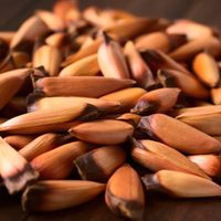 Estas son las delicias de Neuquén más requeridas en las ferias de gastronomía