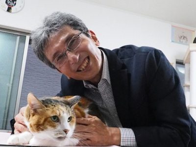 El “gen naranja”: la mutación que explica el misterio de los gatos