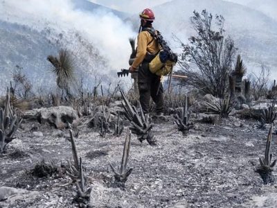 Tamaulipas logra la liquidación total del incendio forestal en Bustamante