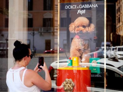 Dolce & Gabbana lanza perfume para perros, pero algunos veterinarios se muestran escépticos