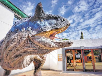 El Chocón se movilizó para exigir respuestas y la reapertura del Museo Paleontológico