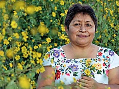 Leydy Pech, por las abejas y la tierra