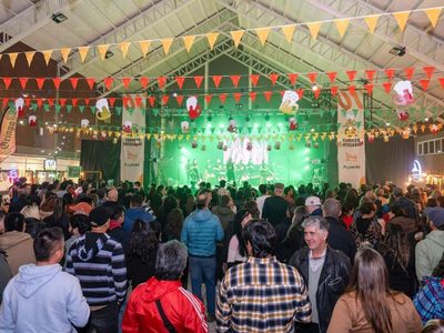 Aluminé presenta el Festival de Cerveza Artesanal 2025: fechas confirmadas y la agenda completa de actividades