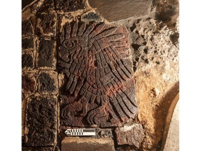 Otro hallazgo en Templo Mayor: un bajorrelieve con la imagen de un águila real