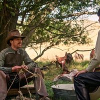 El poder del perro: machismo que destruye