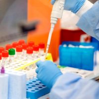 Las provincias ya están en condiciones para comenzar a diagnosticar el coronavirus