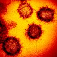 ¡Peligro! Detectan el primer caso de doble infección por coronavirus. ¿Una mutación más infecciosa?