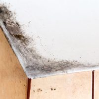 El infalible secreto de la abuela para eliminar las manchas de moho en el techo de tu baño y dejarlo como nuevo