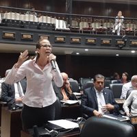 Embajada de México recibe informes de las gestiones del Parlamento: diputada de Venezuela