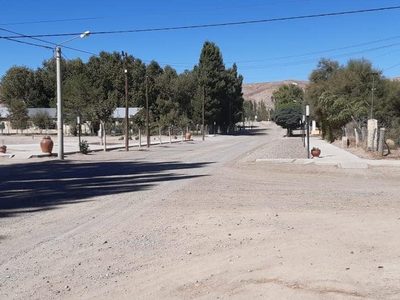 Bajada del Agrio: la localidad que se anticipó al blindaje por el coronavirus