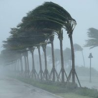 Se forma la tormenta Mindy en el Golfo de México: tocará tierra en la costa de Estados Unidos