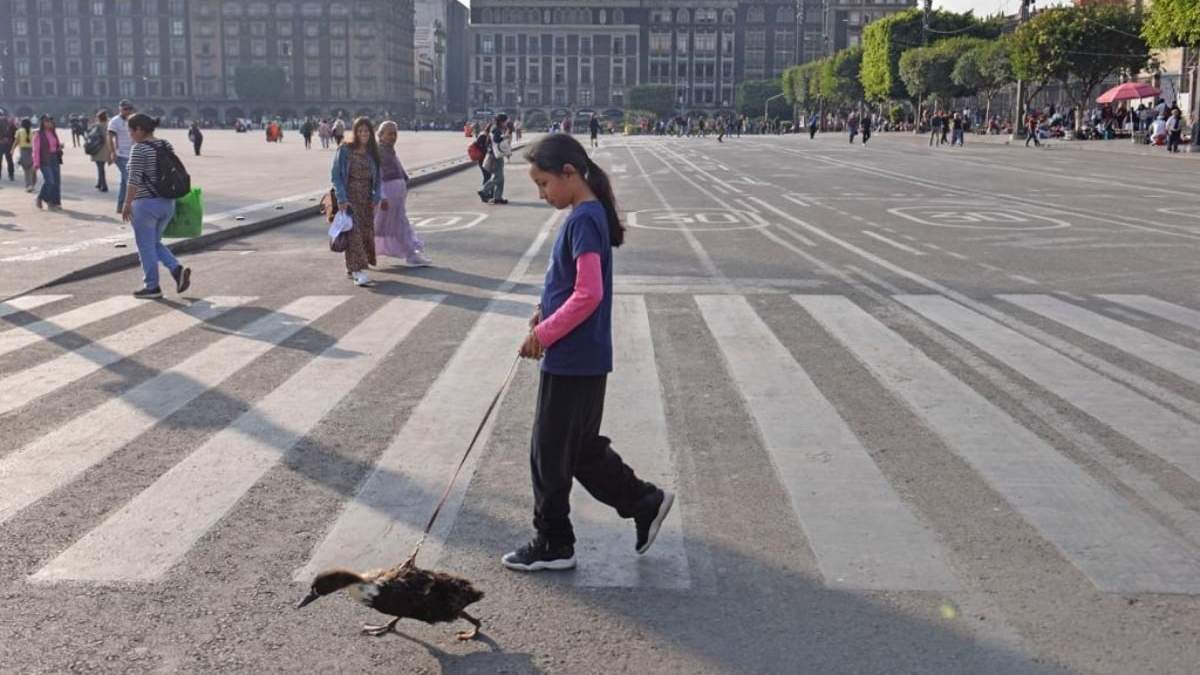 Las calles que rodean al Zócalo ya fueron cerradas a la circulación