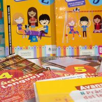 El Ministerio de Educación de la Nación entregó 54.170 libros en Neuquén