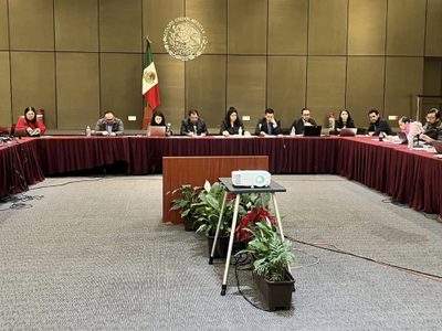 Periodistas desplazadas: abandonadas y victimizadas por el Mecanismo de Protección