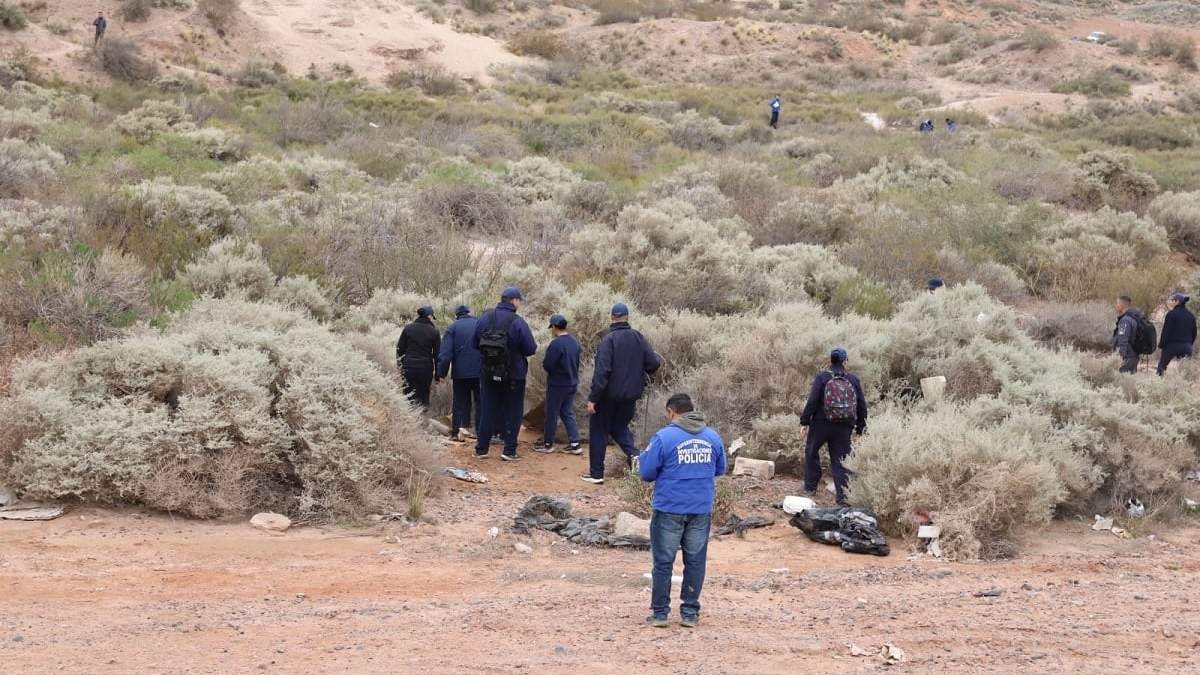 Rastrillaje el Cañadón de las Cabras en busca de Luciana. Fuente: (Sebastián Fariña)