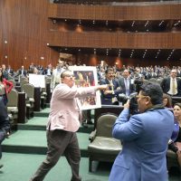 Oposición doblega a PRI y aliados en el Congreso y deja en suspenso prohibición de delfinarios