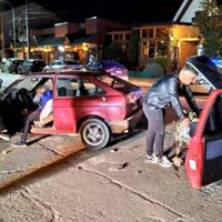 Accidente vial en San Martín de los Andes: circulaba con 2,82 de alcohol en sangre
