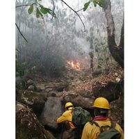 Piden auxilio para sofocar incendio en Santo Domingo Teojomulco, Oaxaca