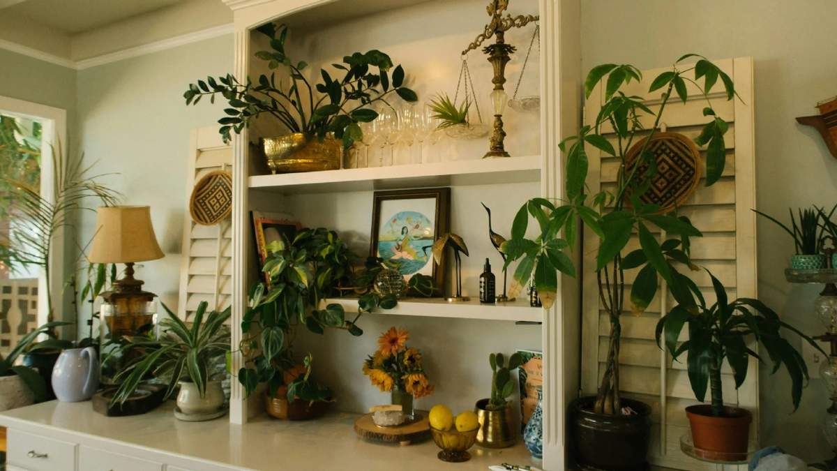 Plantas. Fuente: (Instagram)