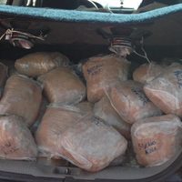 Detienen a cuatro presuntos integrantes de La Unión Tepito con 100 kilos de mariguana