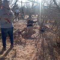 Hallan nueve fosas con restos de 14 cadáveres en Baja California Sur