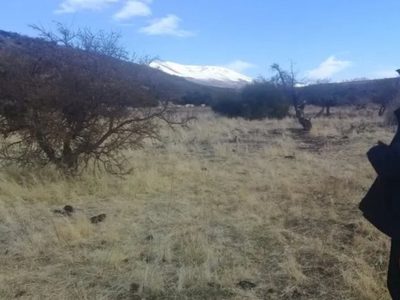 Pedirán la suspensión de un desalojo en Villa Nahueve