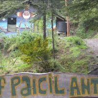 El presidente de Parques Nacionales opinó sobre el caso Ginóbili y llamó pseudo mapuches a la comunidad Paicil Antriao