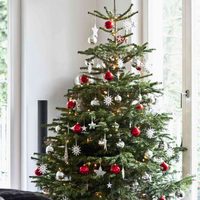 Picada en forma de árbol de Navidad: muy fácil y deliciosa, para sorprender a todos en las Fiestas