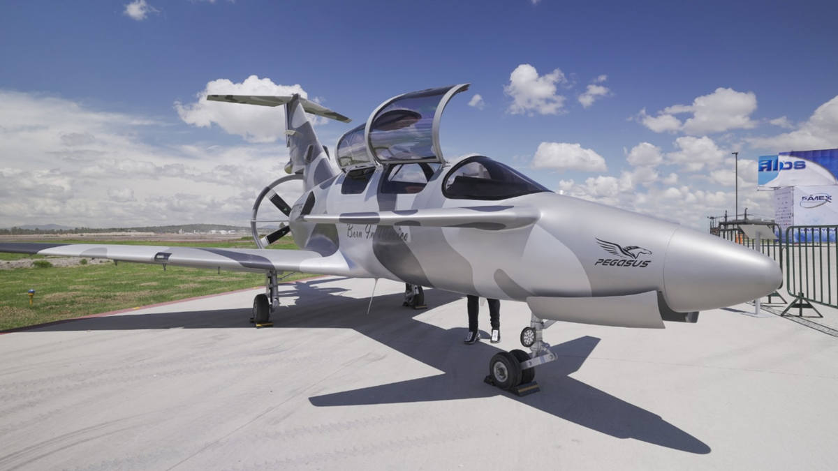 El prototipo Pegasus PE-210A, la primera nave completamente desarrollada en el país