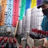 Los vinos de la Costa rioplatense, un producto con identidad