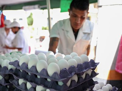 ANPEC: El precio de la canasta básica bajó… 25 pesos en el último mes