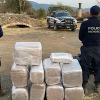 Detienen en Tiripetío a un hombre con 118 kilos de mariguana