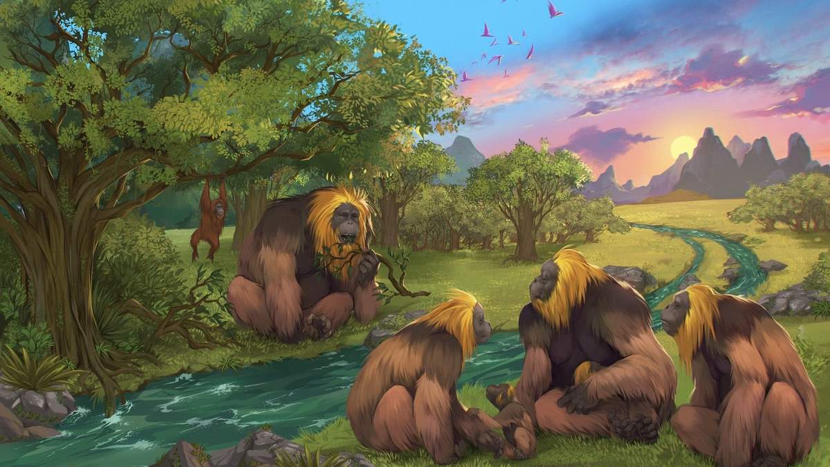 Esta ilustración muestra a simios de la especie Gigantopithecus blacki